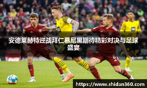 BB贝博