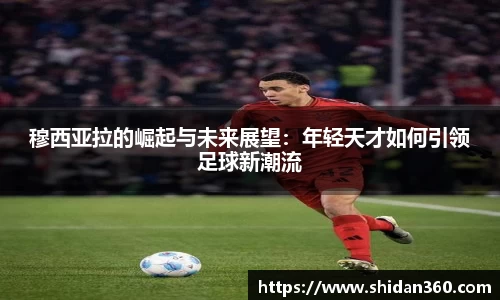 BB贝博登录入口