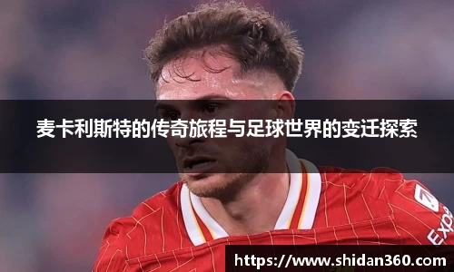 BB贝博